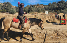 Load image into Gallery viewer, Traditional bitless sidepull bridle