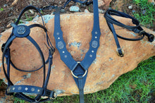 Load image into Gallery viewer, Viking dragon fantasy bridle crossover set