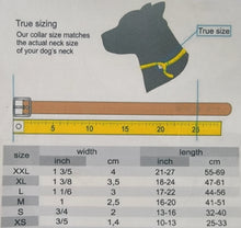 Load image into Gallery viewer, Simple stitched Dog collar