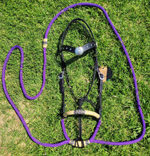 Load image into Gallery viewer, Purple/black rope rawhide hackamore with silver