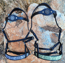 Load image into Gallery viewer, Celtic Knot Dragon sidepull