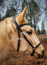 Load image into Gallery viewer, Spanish Presentation show halter