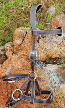 Load image into Gallery viewer, Chocolate & turquoise bitless sidepull