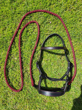 Load image into Gallery viewer, Western Bitless sidepull set in red & black