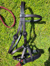 Load image into Gallery viewer, Western Bitless sidepull set in red & black