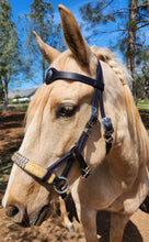 Load image into Gallery viewer, Western Bitless sidepull with rawhide accented noseband