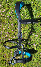 Load image into Gallery viewer, Custom Color Padded sidepull