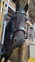 Load image into Gallery viewer, V Brow Bitless Bridle