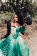 Load image into Gallery viewer, Consultation for a custom Bridle, Breast Collar, halter, or Bitless Bridle