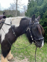 Load image into Gallery viewer, Purple Dream Pegasus bit bridle