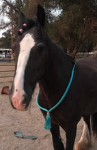 Load image into Gallery viewer, Hybrid Cordeo neck rope