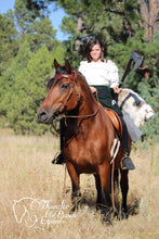 Load image into Gallery viewer, Celtic knot bit bridle