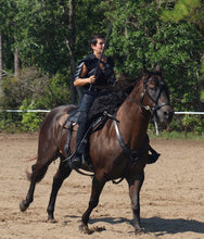 Load image into Gallery viewer, Bitless cross-over bridle with antique brass dragon