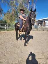 Load image into Gallery viewer, Rope hackamore with Rawhide