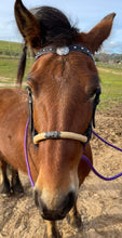 Load image into Gallery viewer, Purple/black rope rawhide hackamore with silver