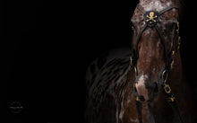 Load image into Gallery viewer, Jolly Roger cross-over bit bridle