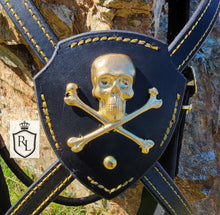 Load image into Gallery viewer, Jolly Roger cross-over bit bridle