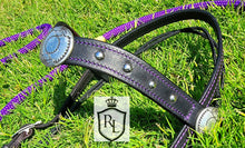 Load image into Gallery viewer, Purple/black rope rawhide hackamore with silver