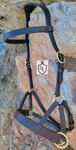 Load image into Gallery viewer, Traditional bitless sidepull bridle
