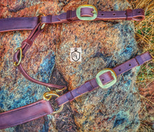 Load image into Gallery viewer, Western style Pulling Breast Collar