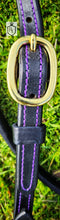 Load image into Gallery viewer, Training Bit Bridle set in Purple