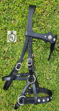 Load image into Gallery viewer, Lion Crusader Fantasy Bit bridle and Breast collar set
