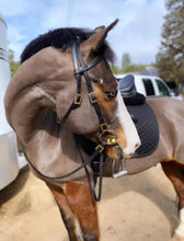 Load image into Gallery viewer, Spanish schooling bridle set