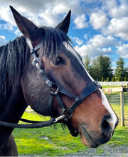 Load image into Gallery viewer, BLACKOUT Bitless Bridle