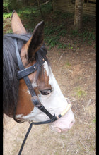 Load image into Gallery viewer, Rope hackamore with Rawhide