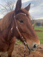 Load image into Gallery viewer, Sweetheart in Harness Bridle set