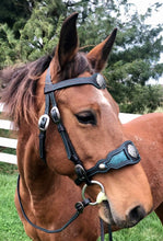 Load image into Gallery viewer, Cutout western show bridle