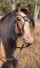 Load image into Gallery viewer, Baroque Regal Lion cross-over bit bridle