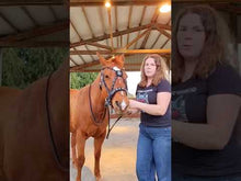 Load and play video in Gallery viewer, Bitless cross-over bridle with antique brass dragon