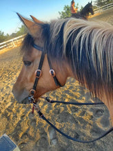 Load image into Gallery viewer, Black bit bridle and Loop Rein set