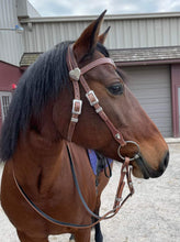 Load image into Gallery viewer, Sweetheart in Harness Bridle set