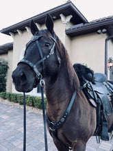 Load image into Gallery viewer, Bitless cross-over bridle with antique brass dragon