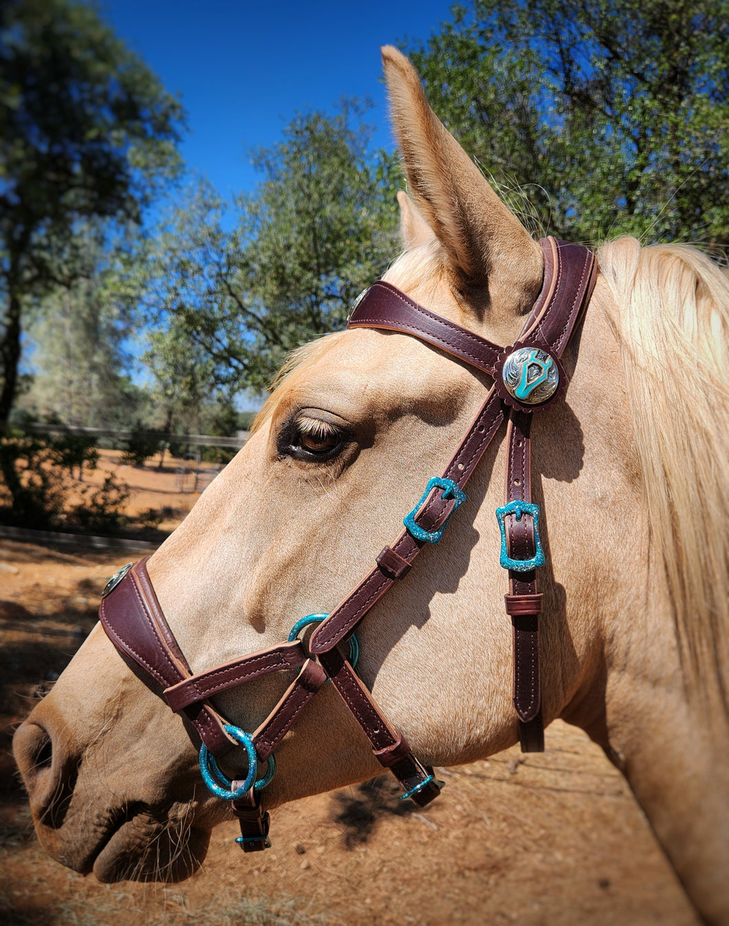 Turquoise sparkle padded bitless sidepull bridle and rein set