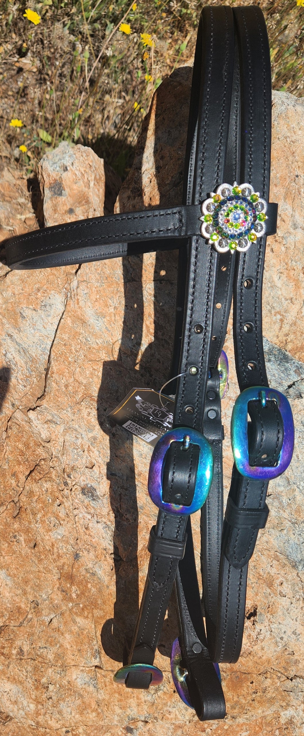 Rainbow buckle bit bridle