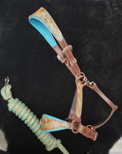Load image into Gallery viewer, Copper underground padded halter set

