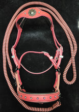 Load image into Gallery viewer, Pink Rockin' sidepull set
