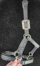 Load image into Gallery viewer, Mini Horse Dragonscale padded halter

