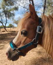 Load image into Gallery viewer, Mini Horse Dragonscale padded halter
