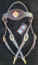 Load image into Gallery viewer, Limited Edition Snap on bit bridle
