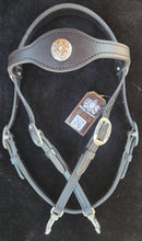 Load image into Gallery viewer, Limited Edition Snap on bit bridle

