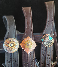 Load image into Gallery viewer, Limited Edition Snap on bit bridle
