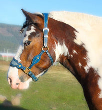 Load image into Gallery viewer, Consultation for a custom Bridle, Breast Collar, halter, or Bitless Bridle
