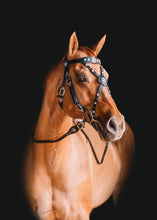 Load image into Gallery viewer, Consultation for a custom Bridle, Breast Collar, halter, or Bitless Bridle
