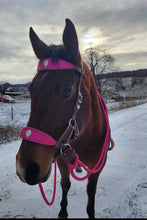 Load image into Gallery viewer, Pink Padded Sparkle bitless bridle
