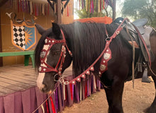 Load image into Gallery viewer, Consultation for a custom Bridle, Breast Collar, halter, or Bitless Bridle
