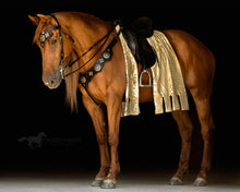Load image into Gallery viewer, Consultation for a custom Bridle, Breast Collar, halter, or Bitless Bridle
